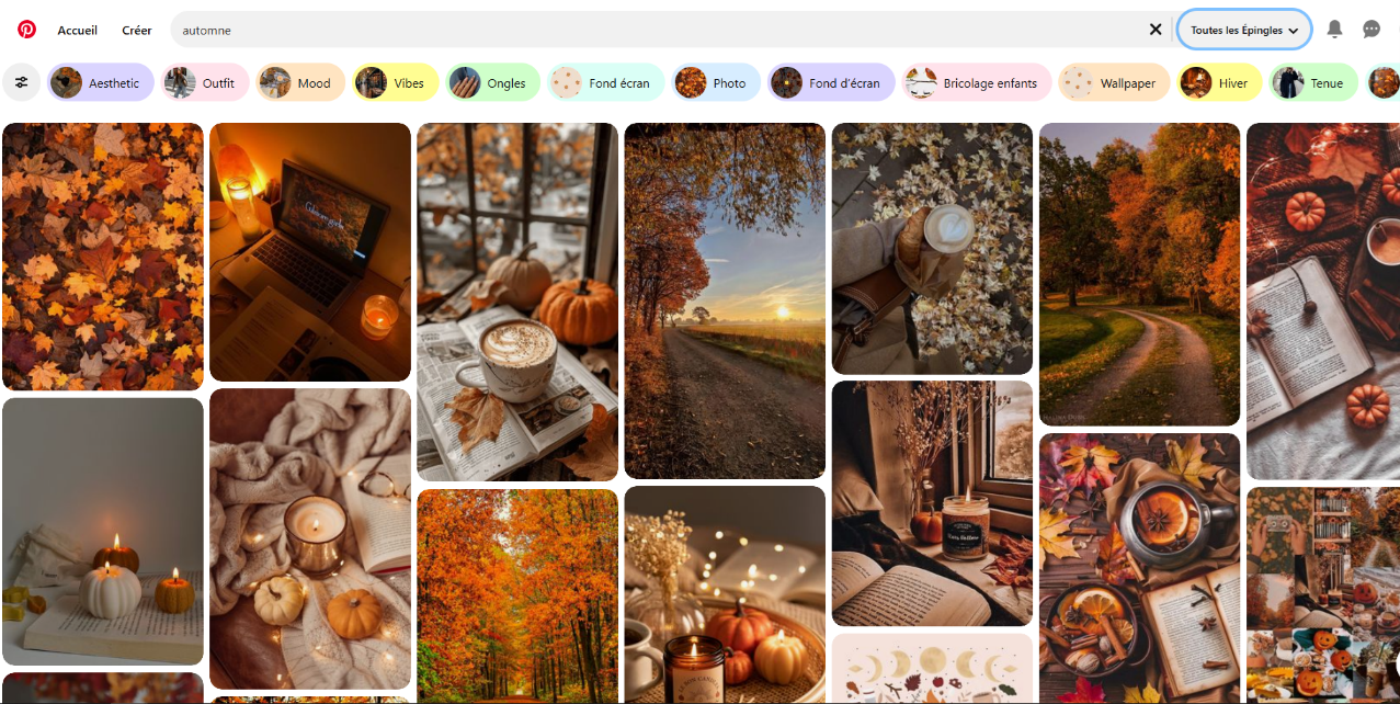 Capture d'écran Pinterest Comment fonctionne Pinterest ?